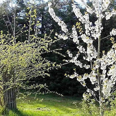 Bed & Breakfast D'hotes Entre Deux Rives 4*
