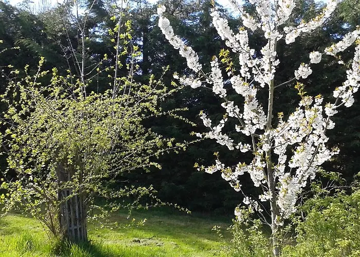 D'hotes Entre Deux Rives